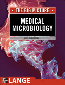The big picture : medical microbiology /