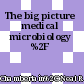 The big picture medical microbiology /