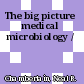 The big picture medical microbiology /